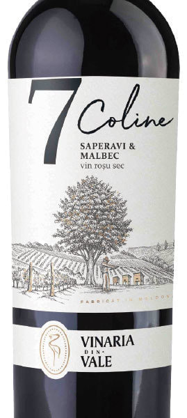 moldova-wine_vinaria-din-vale_7-coline_saperavi&malbec_2018-2.jpg