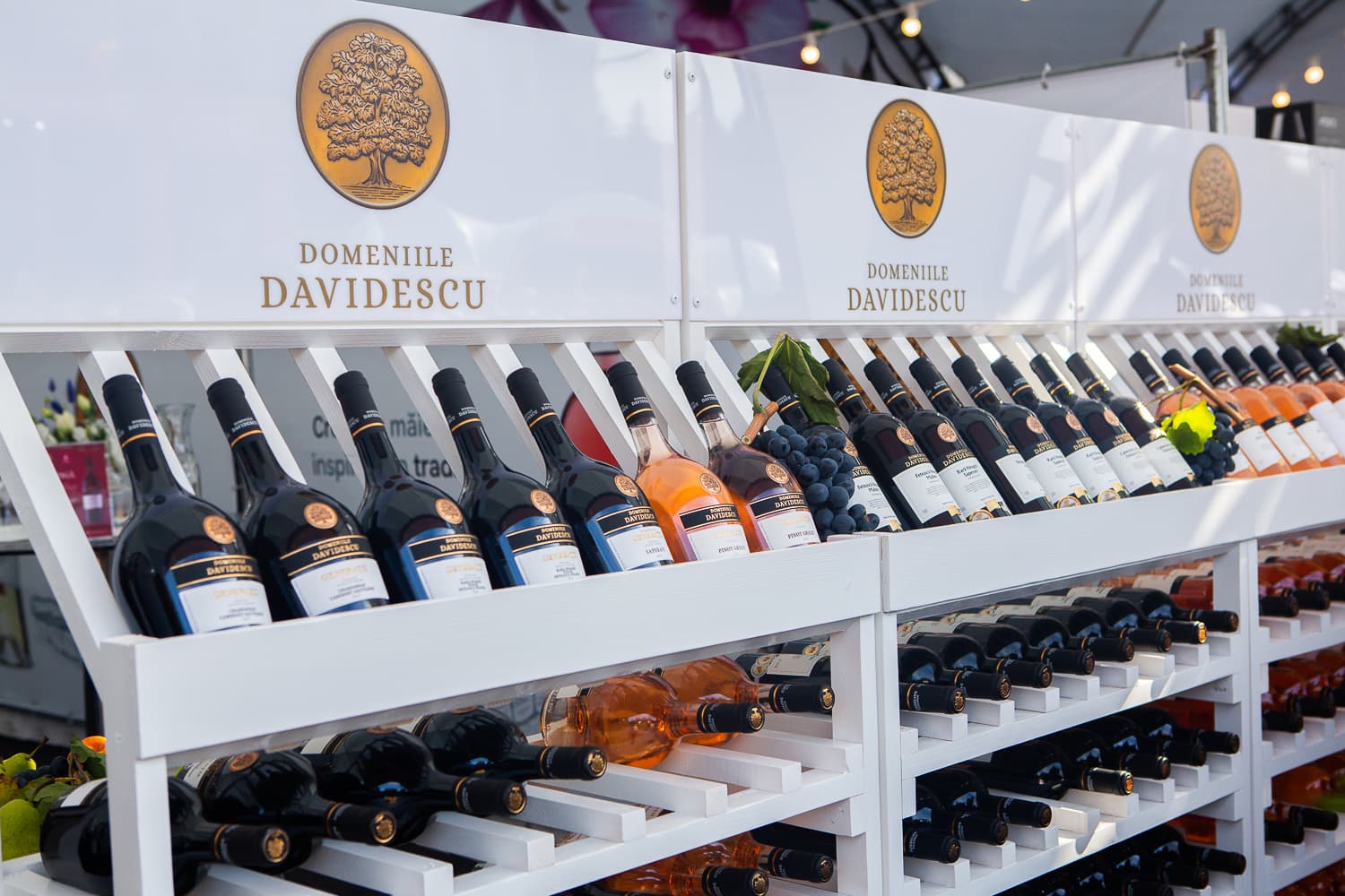 davidescu_wine.jpg