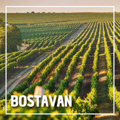 Moldova Bostavan winery
