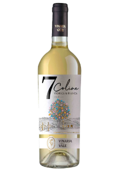 Moldova wine Vinaria din Vale  7 Coline Vinaria din Vale 7 Coline Viorica & Bianca 2024
